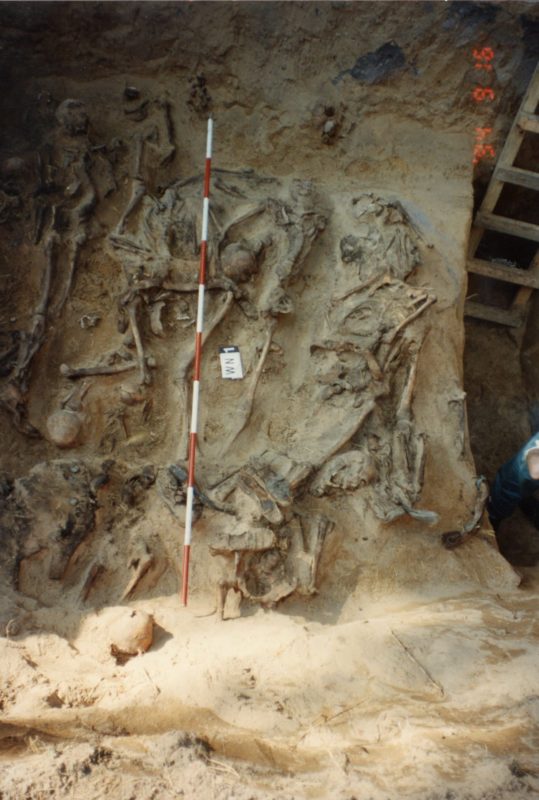 WejściePłyta_prace-1994_fot.-ze-zbiorów-MKiDN-1-1294x1920 Szczątki ludzkie wydobyte z dołów śmierci